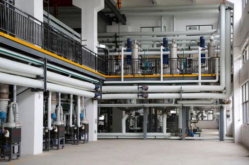 開工大吉,新工廠投產(chǎn) 橋頭企業(yè)奮力沖刺 開門紅